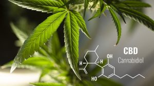 What Is CBD & Why Is It So Buzzworthy?