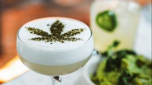 Step Right Into the US First Public Cannabis Cafe