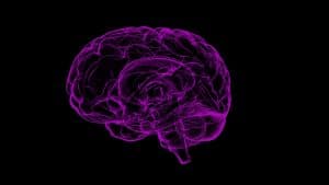 Curious Marijuana Effects on Brain Performance