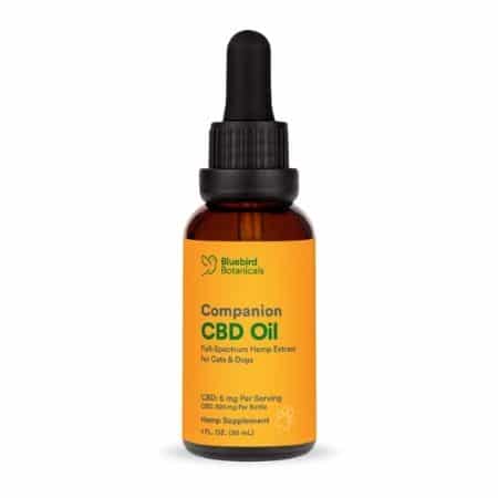 CBD Oil for Cats - Bluebird Botanicals