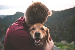 Best CBD for Dogs: 17 Reviews & Pup-Friendly Guide