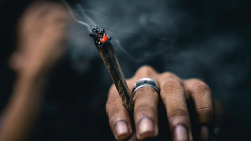 Marijuana Smell No Longer Valid Excuse for Police Searches