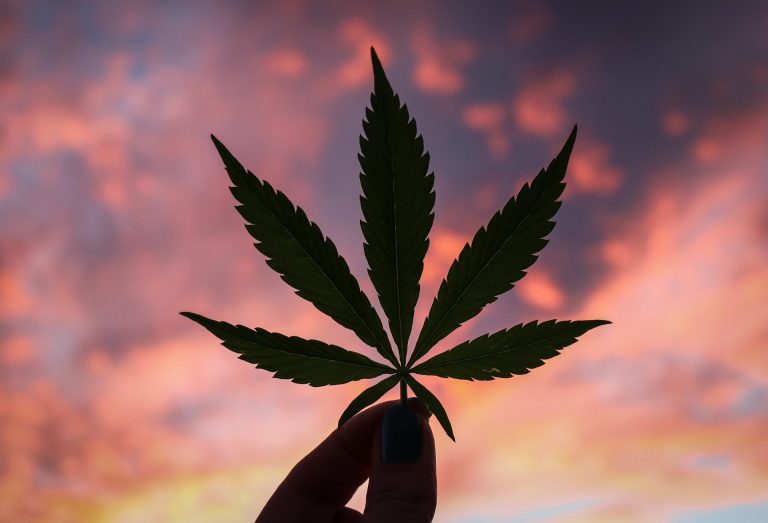 Politics News - House Votes to Decriminalize Marijuana At Last