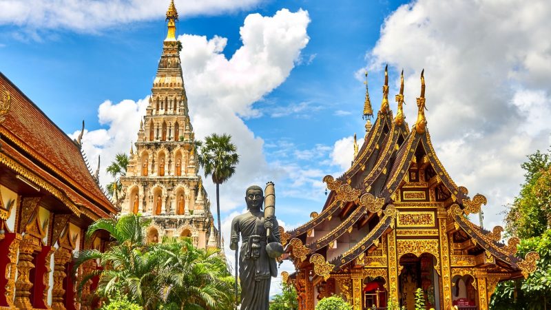 Politics News - Thailand Opening to Serious Medical Cannabis Production