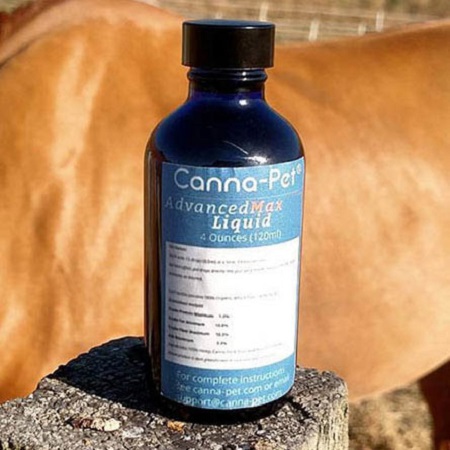 Best CBD Oil for Horses - CannaPet Review