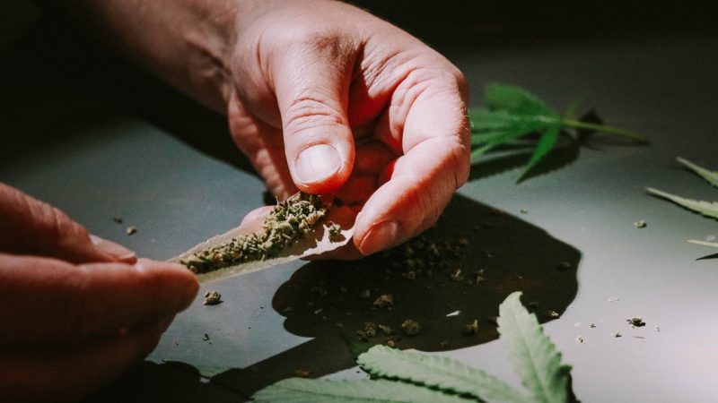 Politics News - New Jersey Finally Legalizes Recreational Marijuana