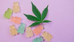 CBD Gummies Canada: Top 7 Picks You’ll Crave For in 2022