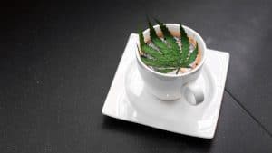 Best CBD Coffee for an Instant Wake-Up Call