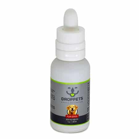 CBD Oil for Dogs Canada - Droppets Review