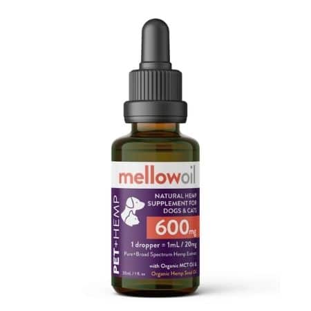 CBD Oil for Dogs Canada - Mellow Oil Review