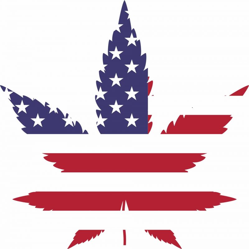 Politics News - Republicans Make a Move for Federal Cannabis Legalization1