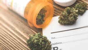 Cannabis Could Potentially Help Curb the Opioid Epidemic