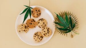 Best CBD Edibles That Will Tantalize Your Taste Buds