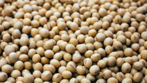 New Solution for THC Cardiovascular Issues — Soy!