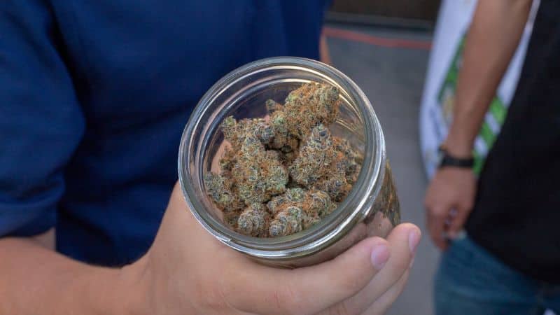 Industry News - Whitefish, Montana, to Get Eight New Marijuana Dispensaries